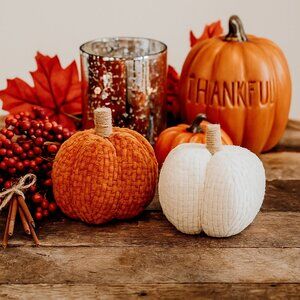 2 Pc Chenille Pumpkin Decor Set – Cozy Farmhouse Fall Home Accents